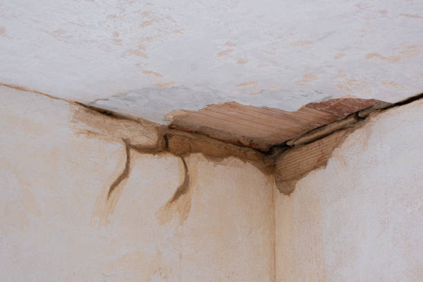 Best Commercial water damage restoration  in Taylor, AL