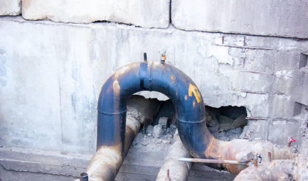 Best Basement water damage restoration  in Taylor, AL