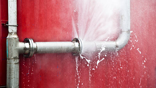 Best Flood restoration services  in Taylor, AL